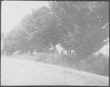 The House - Maplewood