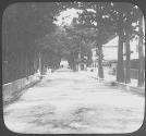 Bermuda. Cedar Ave, Hamilton