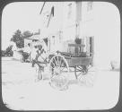 Bermuda. Donkey Delivery.