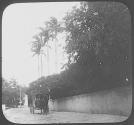 Bermuda. Royal Palms, Paget