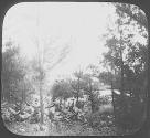 Bermuda. Tom Moore's Cabin, from road.