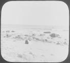 Block Island 1906