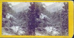 View on Broad River, Hickory Nut Gap.