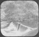 Gorge - Bronx Park N.Y.