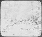 Trout Stream - Road to Liberty, NY Sparrowbush NY 1904