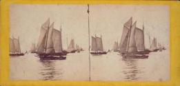 Fleet of Vessels - New York Bay Scene.