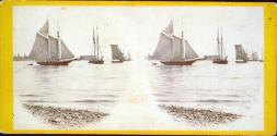 Bay View, from Battery, N.Y.