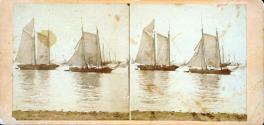 Fleet of Vessels. - New-York Bay Scene.