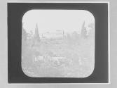 Golden Gate, from Gethsemane Jerusalem