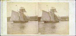 Instantaneous View. A Topsail Schooner in the Harbor of Havana. Vista Instantánea. Una goleta en la bahia. Habana.