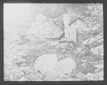 Rob Roy's Cave near Inversnaid