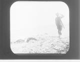 Old shepherd & his sheep killed by aeroplane bombs (unintellig.) of Bi ble 100,000 to 1 shot.