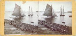 New York Bay Scene on the morning of the arrival, June 16, 1860.