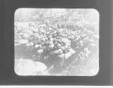 Ground Breaking Franklin Museum June 18 1930