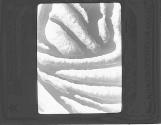 [Untitled]