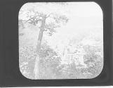 Mauch Chunk Penn Birdseye view