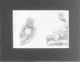 1. Gorilla - age approx. 1 month, with nurse. 2. Same - age 2 months.