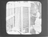 Pressing Oil from Cooked Cotton Seed, South Carolina
