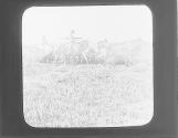 Harvester Cutting Rice in Arksansas