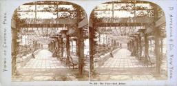 The Vine-clad Arbor