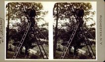 Tripod