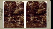 Portage, Letchworth park