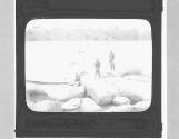 [Untitled]
