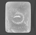 Dessin d'un eleve du colleige. Saint Louis.