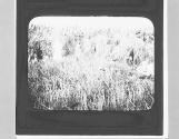[Untitled]