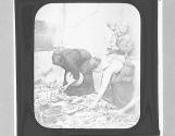 ZW. Women groping among ruins of their homes.