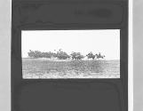 ZW. Russian Cavalry Cossachs.