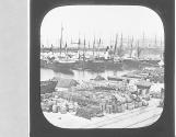 Marseilles. View in the Harbour.