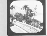 Monaco. Monte Carlo Gardens.