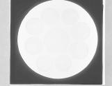 Recent Diatoms-Arachnoidiscus Ehrenbergii, x120.