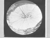 Section of Stem of Plant in Coal. Sigularia, x4.