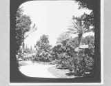 Pincio Gardens.