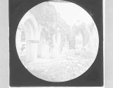 Askeaton Abbey -The Nave, Co. Limerick.
