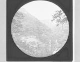 View in the Dargle.