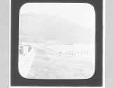 Woodside, Rostrevor. Co. Down.
