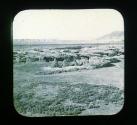 Land - Jericho