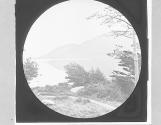 At Innisfallen, Killarney.