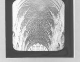 Gloucester Cath. Roof of Choir.
