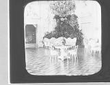 Salle des Dejeuners Palais Peterhoff.