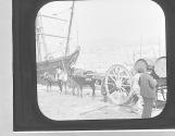 Italy-Genoa, A Genoese Truck.