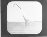 Dahabieh (illeg.) Full Sail.