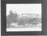 Palestine. Vue generale de Cana en Galilee.