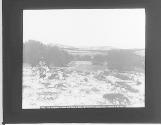 The Shepherd's Field and Field of Boaz. Dirtenfild. Champs des Pasteurs et de Boaz.