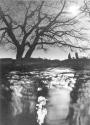 [Tree in Landscape]