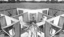 [Four People in Maze]