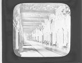 Gallery Francis I Fontainebleau.